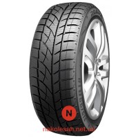 Roadx RXFrost WU01 205/55 R17 95H XL