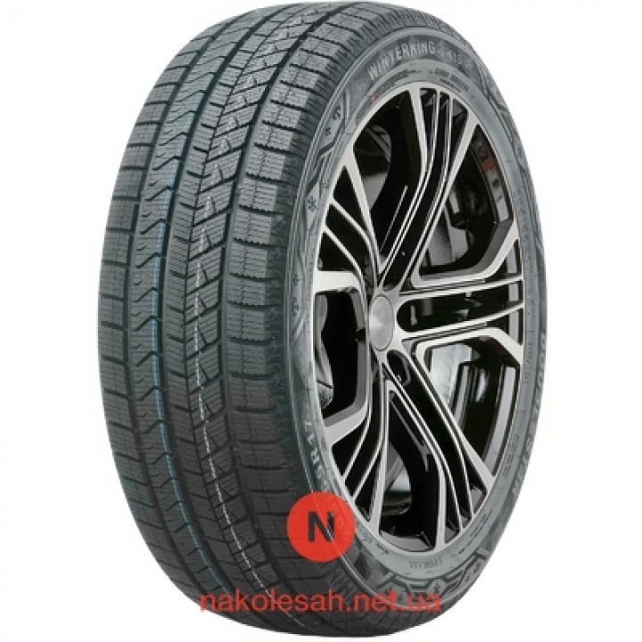 Doublestar WINTERKING DW16 205/55 R17 95T XL