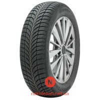 Roadstone Eurovis Alpine 2 195/65 R15 95T XL