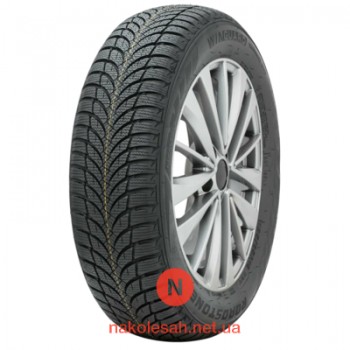 Roadstone Eurovis Alpine 2 205/60 R16 92H
