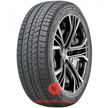 Doublestar WinterKing DW16+ 195/65 R15 91T